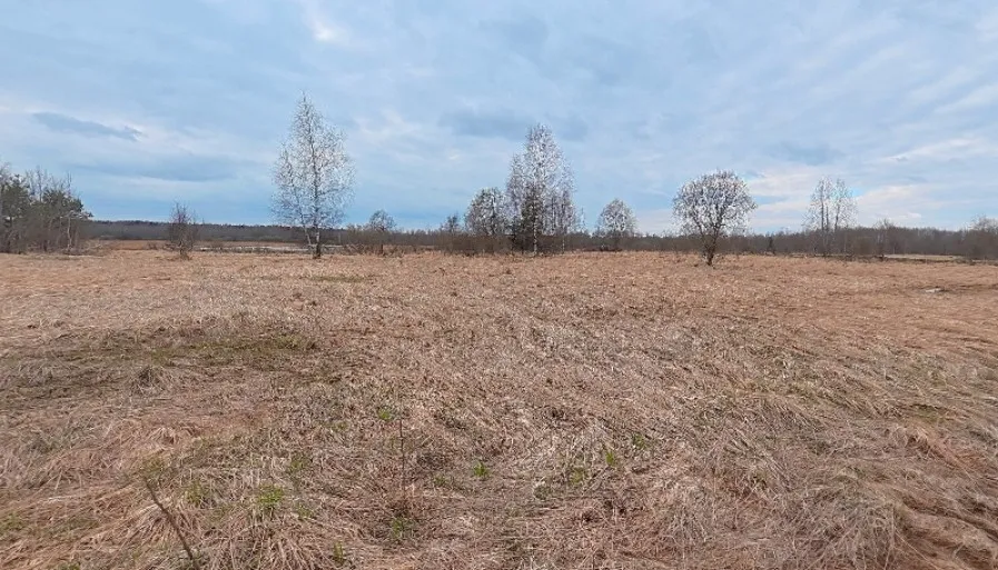 Участок 814 м.кв в КП "Задорное озеро"
