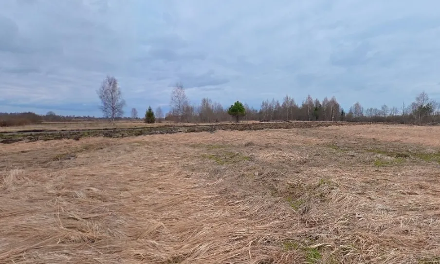 Участок 814 м.кв в КП "Задорное озеро"