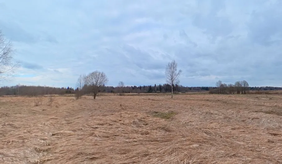 Участок 814 м.кв в КП "Задорное озеро"